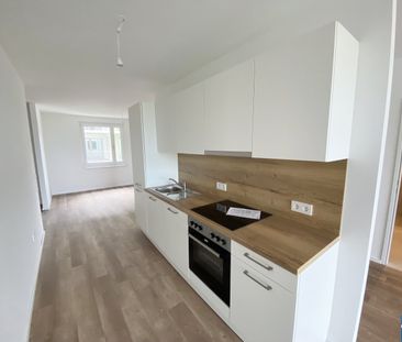 Ihr Traum vom Wohnen wird wahr: Moderne Mietwohnungen im Tullnerfeld - Foto 3