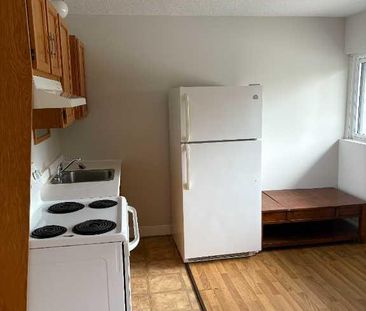 Loft 1 1/2 à louer au dessus de locaux commerciaux - Photo 2
