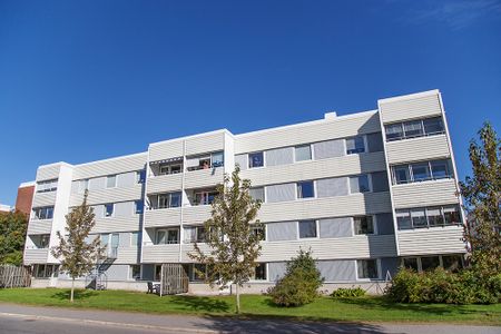 Hamnplan 2 A, 94161, Piteå - Photo 3