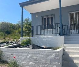 Μονοκατοικία για ενοικίαση - Χρυσούπολη, - Φωτογραφία 5
