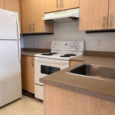 STUDIO IN VAN, CLOSE TO JOYCE SKYTRAIN STATION FOR RENT - Photo 3