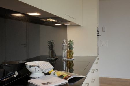 Modern with garden - Photo 5