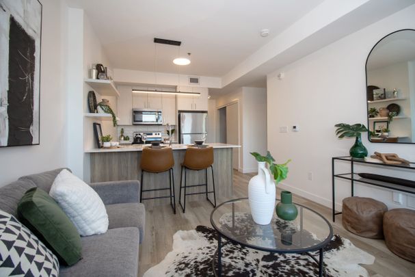 Osborne Terraces - Photo 1