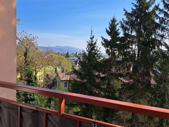 Sehr gut aufgeteilte 2-Zimmer-Miet Wohnung mit Ausblick - für Junge und Junggebliebene - Bad Vöslau - Grünruhelage Nähe Thermalbad - Photo 1