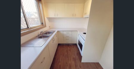 Cuteness Overload! - Photo 4