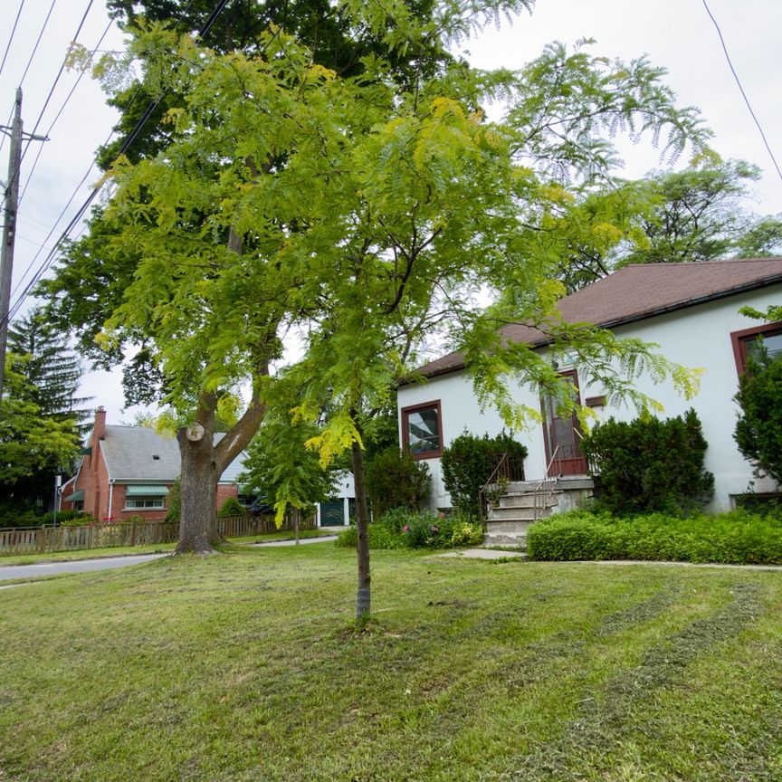 For Lease - 258 Bogert Avenue, Toronto, Ontario - Photo 2