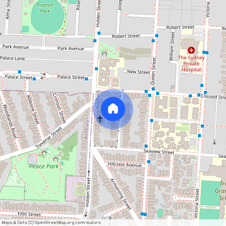 19 Farleigh Street, Ashfield, NSW 2131