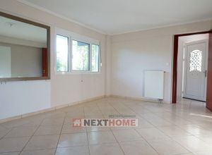 Μονοκατοικία για ενοικίαση - Ιωάννινα, - Φωτογραφία 1