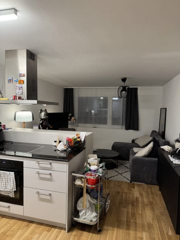 2.5 Zimmer, 45 m², 3. Stock - Foto 3