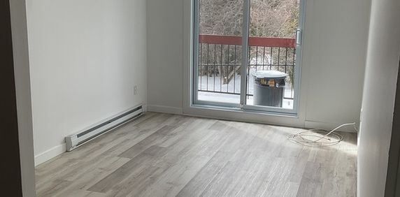 3 1/2 Entièrement Rénové - Photo 2