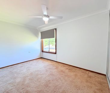 Ray White Real Estate Parkes - Photo 3