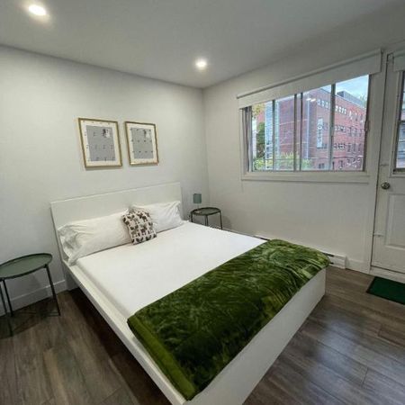 1 CH - 1 SDB - Montréal - $1,295 /mo - Photo 3