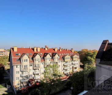 Na wynajem przestronne mieszkanie 2 pokoje - Photo 4