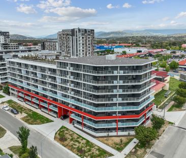 You'll love this one as much as we do - Photo 3