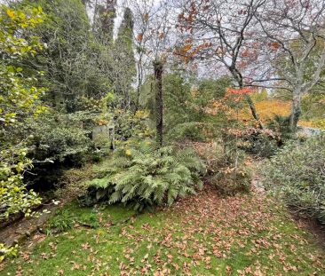 Braidenwood Cottage - Photo 5