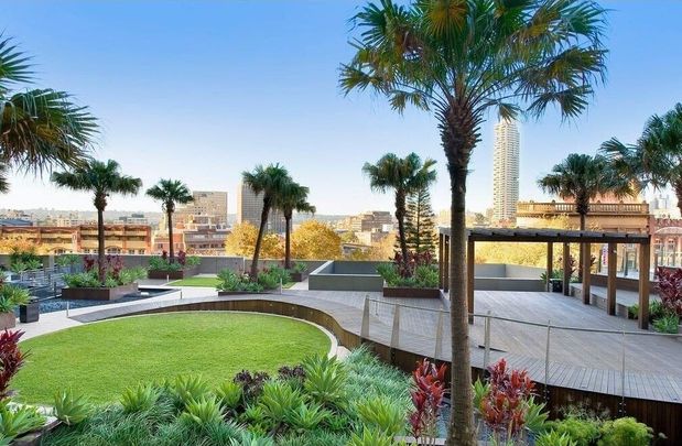 Surry Hills - Photo 1