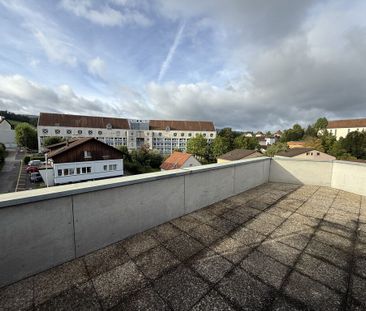 Une grande terrasse et un balcon au calme - Foto 1
