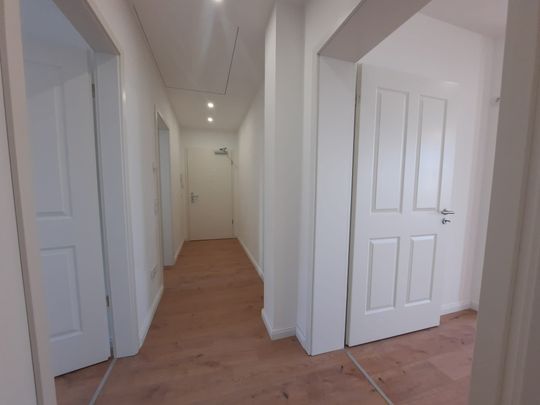 Elbnahe 3-Raum-Wohnung mit Balkon und viel Tageslicht - Foto 1