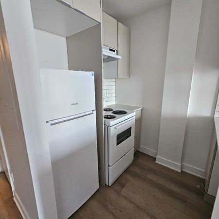 1 CH - 1 SDB - Montréal - $1,145 /mo - Photo 3