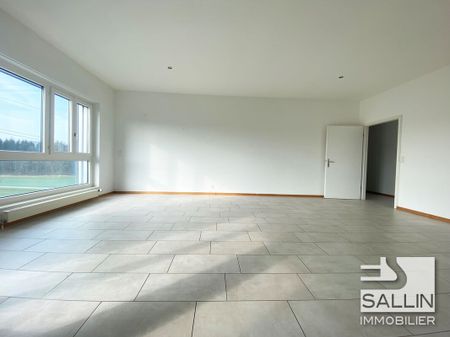 Spacieux et lumineux appartement récemment rénové - Photo 3