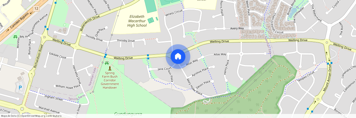 1a Mary Howe Place, NSW 2567, Narellan Vale