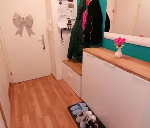 1Zimmer Gemeindewohnung 20. Bez I NUR MIT EINEM WIENERWOHNENTICKET ... - Photo 3