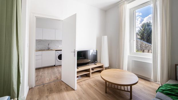 Location Appartement 1 pièce Meublé 26m² NANTES 44100 - Photo 1