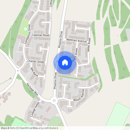 John Wilkinson Court, Brymbo, LL11