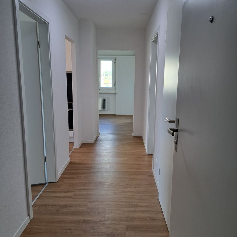 Gemütliche 3 1/2-Zimmerwohnung in Pratteln mit Aussicht geniessen? - Photo 1