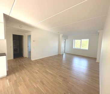 Vilhelm Ehlerts Alle - Foto 6