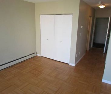 Large Bright Studio available - Photo 3