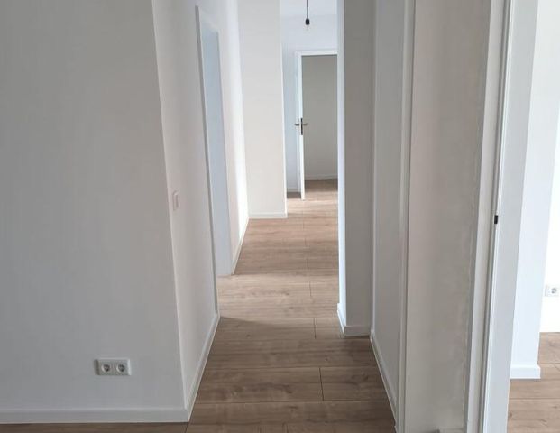 3 Helle Zimmer Wohnungen in Stadtteil Bonames Mitte in einem Mehrfamilie Haus zu vermieten ab sofort - Foto 1