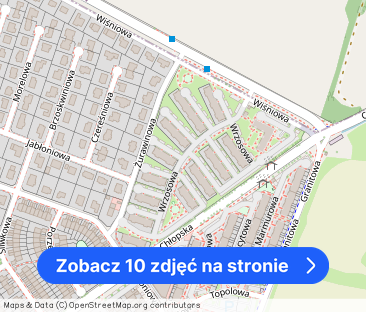 Mieszkanie z ogródkiem. Smolec ul. Wrzosowa - Zdjęcie 1