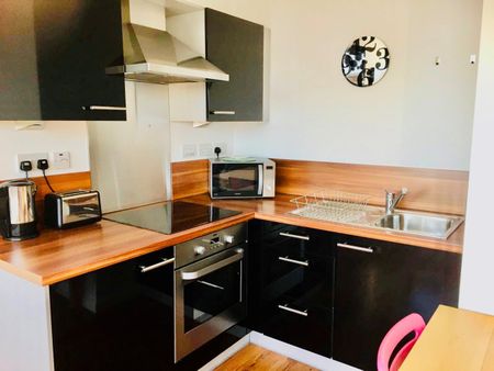 1 Bed Flat, Mann Island, L3 - Photo 3