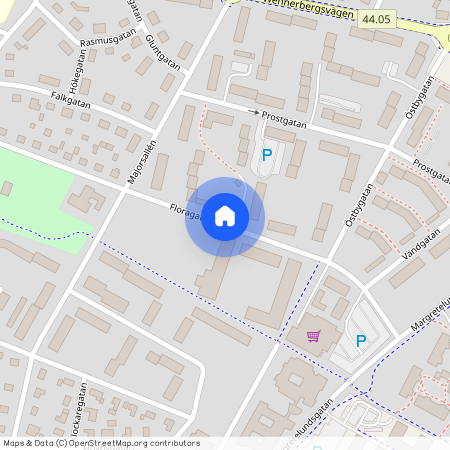 Floragatan, Lidköping