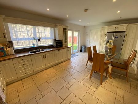 6 MONTH RENTAL, 1 Strangford Park, Downpatrick, BT30 6WQ - Photo 5