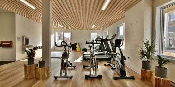3 ½ à Louer, Gym Inclus! - Photo 3