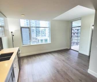 River District 1Bed 1Bath + Den for Rent - Photo 2