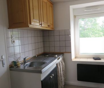 Location / Appartement T1 bis - Photo 6