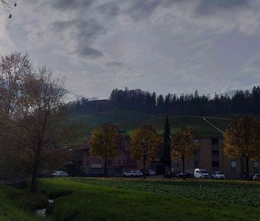 1.5 Zimmer, 29 m², 2. Stock - Photo 4