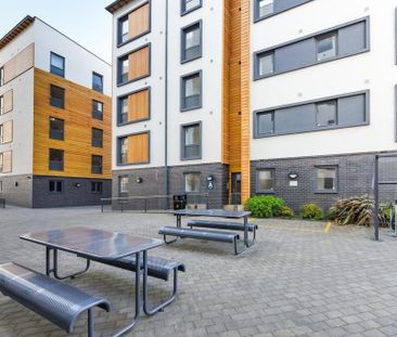 1 bedroom in a flat share to rent - Photo 3