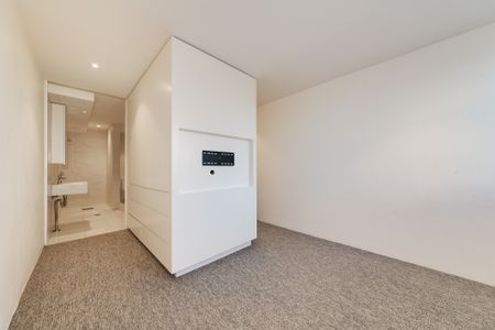 Spacious Penthouse Apartment In Surry Hills - Photo 4