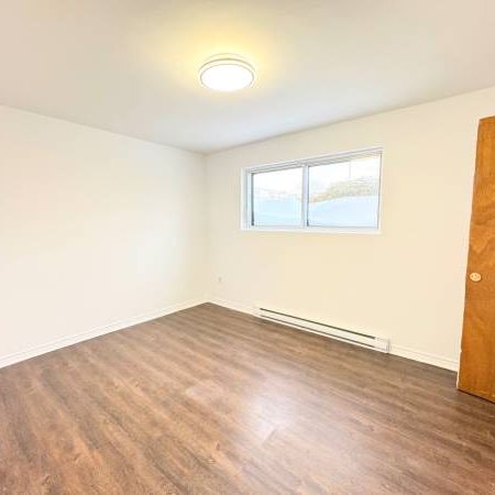 Appartement à louer Nouveau-Rosemont - Photo 4