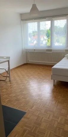 Appartement de 1 pièce rénové au 2ème étage - Photo 1