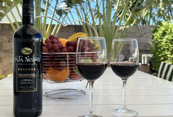 Short term rental of the luxury modern villa in El Duque / VILLA TESORO EL DUQUE