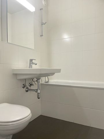 Plaine de Plainpalais - Université - Photo 3