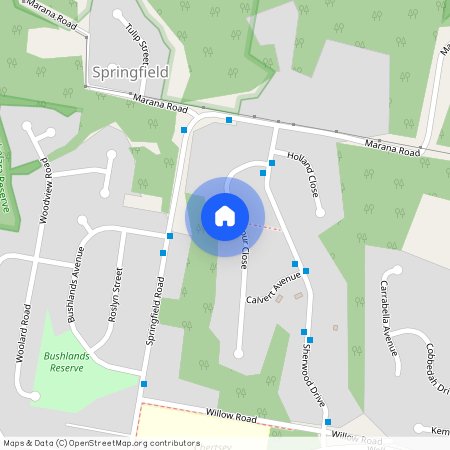 22A Balfour Close, Springfield