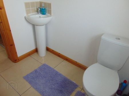 12 Millbrook Drive, Ballymoney, BT53 7RP - Photo 5