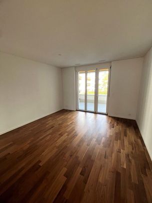 "Grössen Wahnsinnig, Grössen Wohnsinnig!" - Foto 1