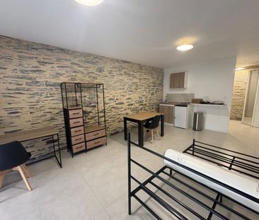 Appartement à louer, 1 pièce - Angers 49100 - Photo 3